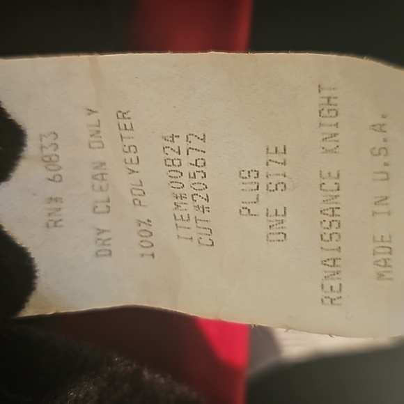 Renaissance knight Halloween costume - Picture 11 of 14